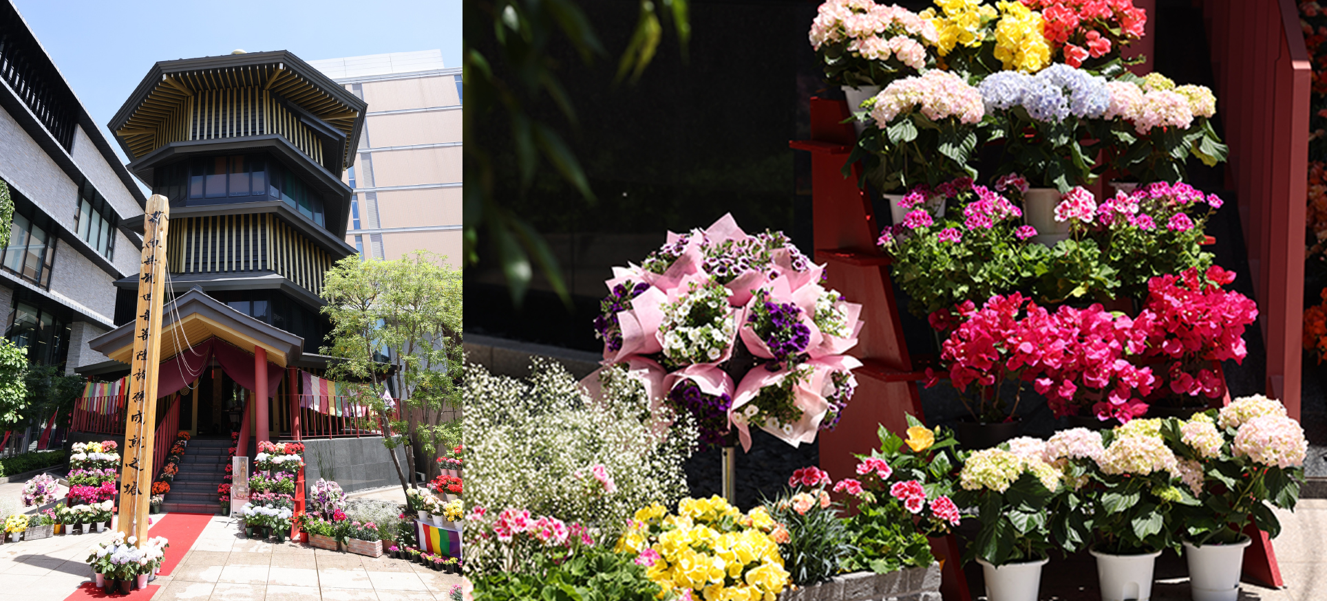 ｢第12回すがも鴨台花まつり｣を開催